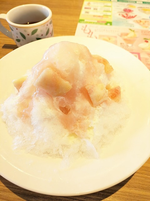 PXL_20230723_023121485~2