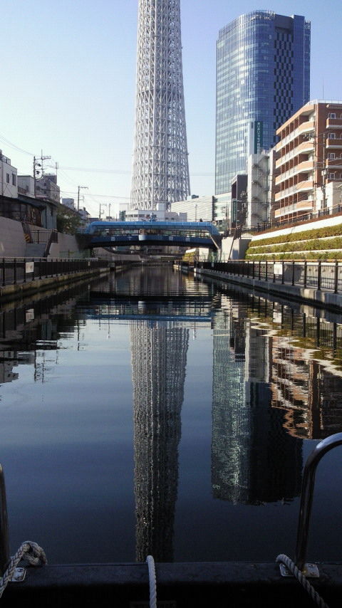 イメージ 13