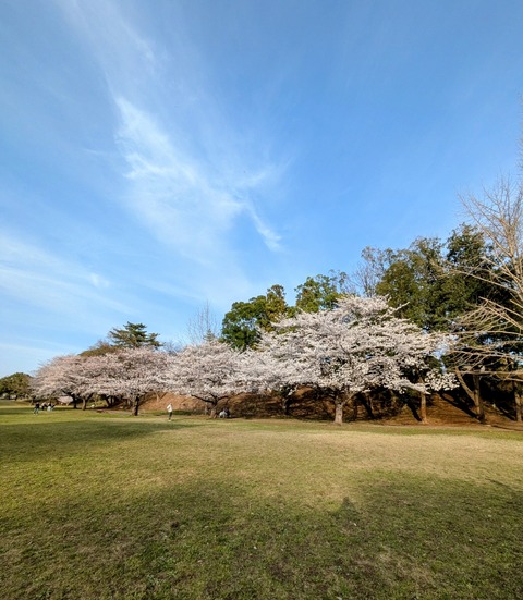PXL_20250405_074451096~2
