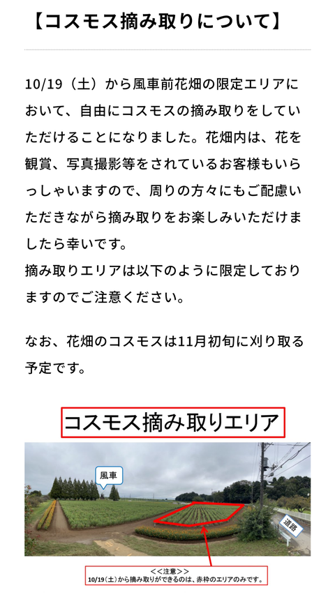 Screenshot_20241014-093323