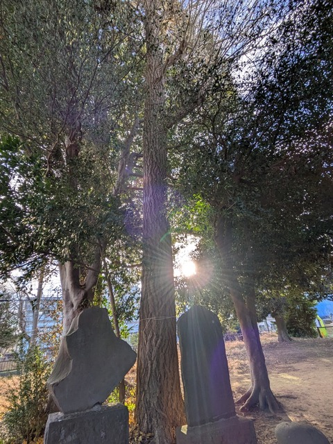 PXL_20250102_060456027