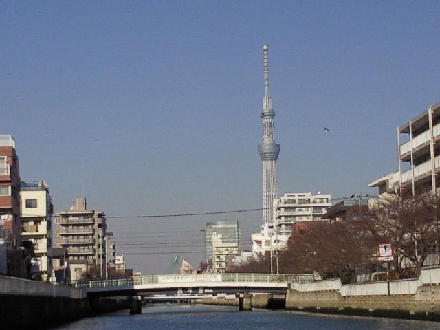 イメージ 9