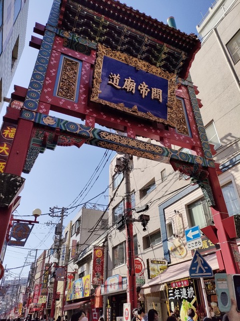 IMG20230308135255