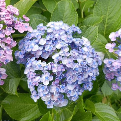 IMG20260616150132