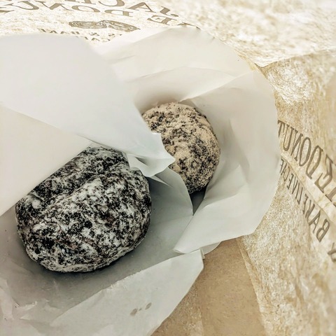 PXL_20250309_094035980