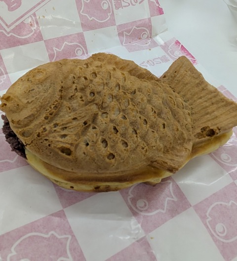 PXL_20250123_064918021~2