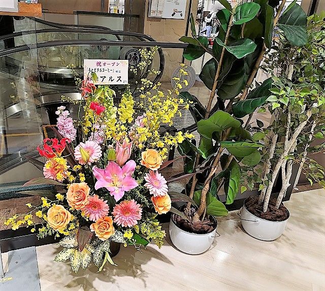 イメージ 8