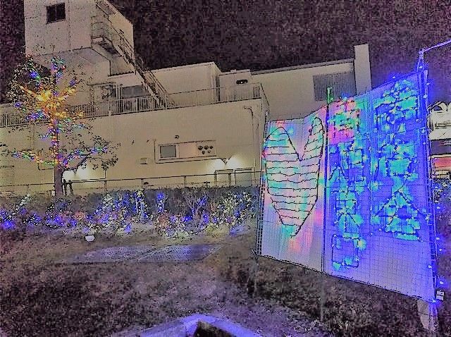 イメージ 15