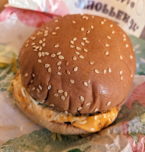 PXL_20240117_070835926~2