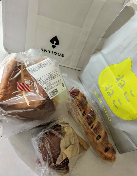 PXL_20240805_045928735~3