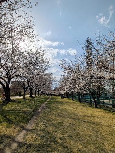 PXL_20250330_064103602~2