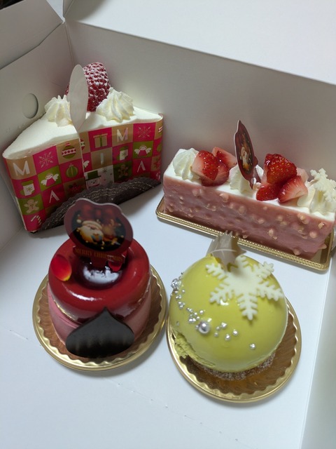 PXL_20241223_090133116