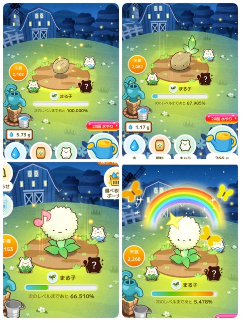 25-09-25-11-55-20-759_deco