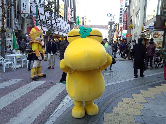 イメージ 8