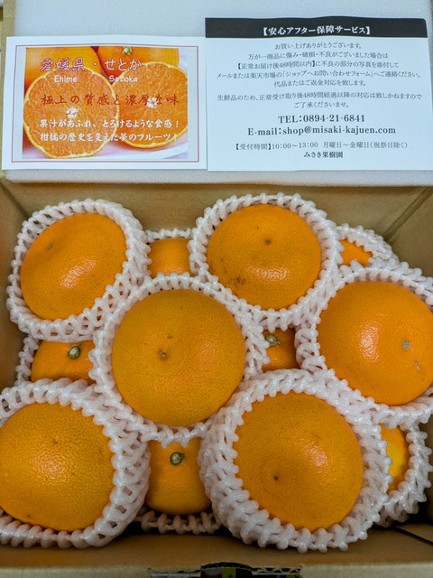 PXL_20250405_102259829~2