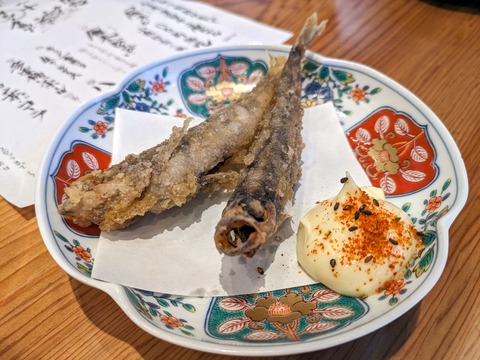 PXL_20231022_044026745