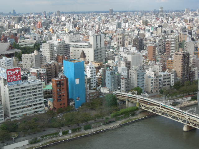 イメージ 11