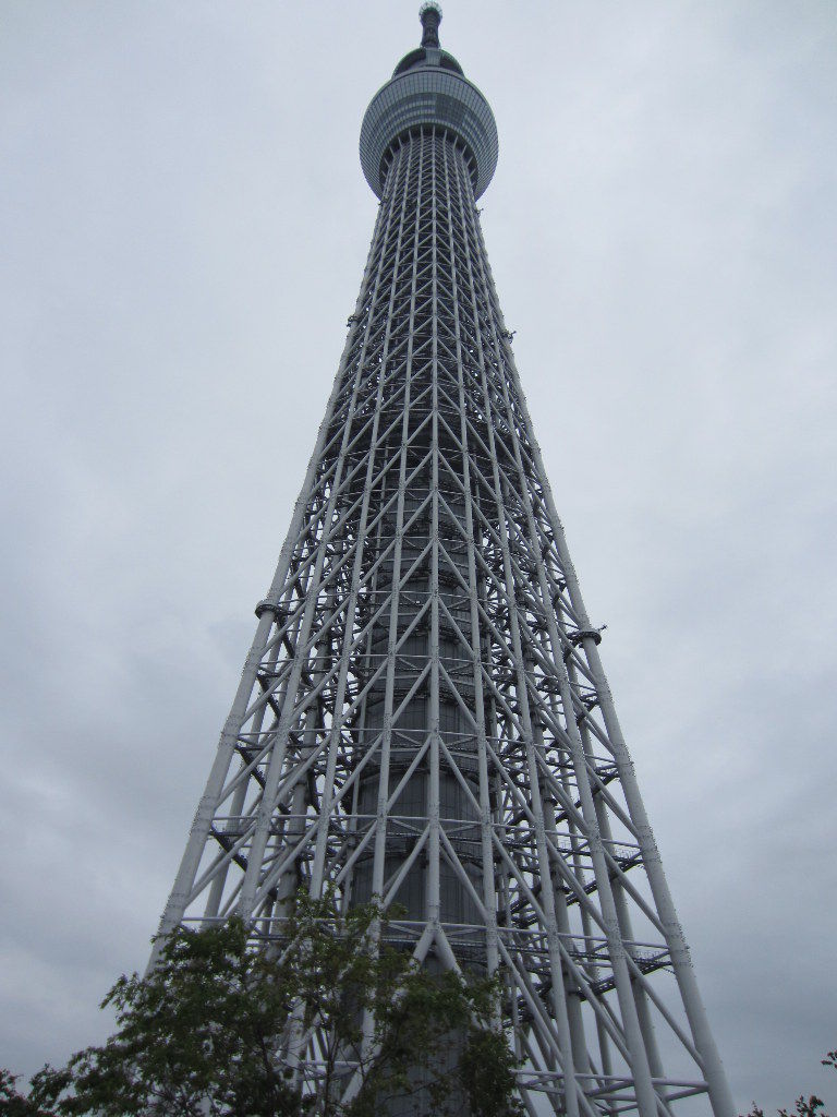 イメージ 5