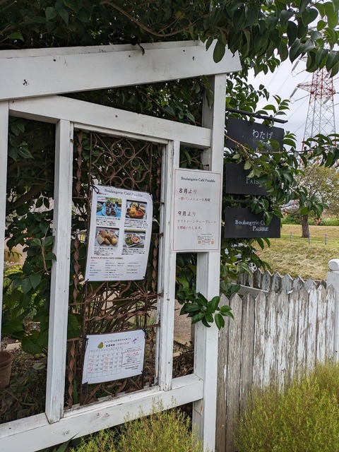 PXL_20230930_022751671