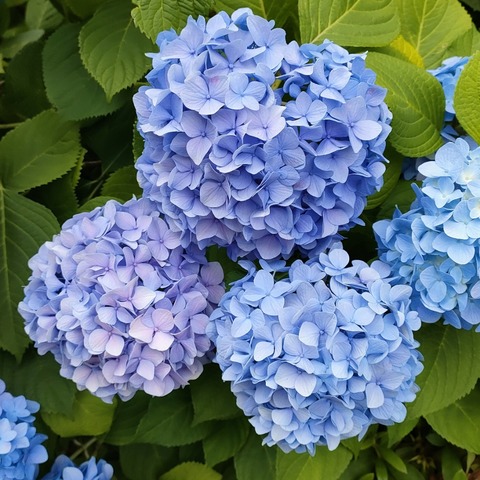 IMG20230604154543