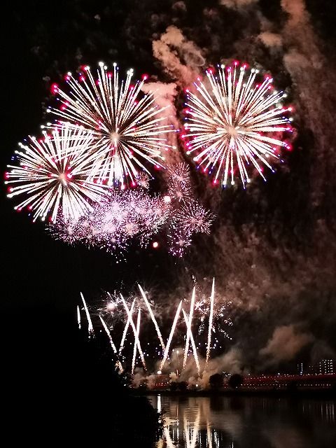 イメージ 8