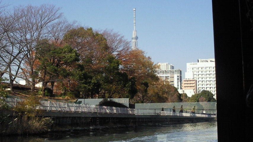イメージ 3