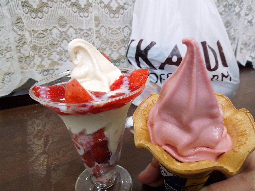 イメージ 14