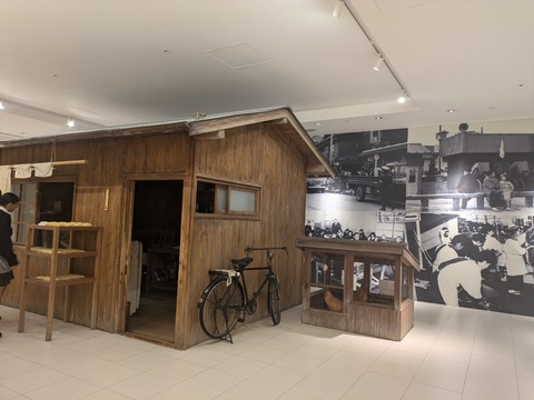 PXL_20241016_051736699