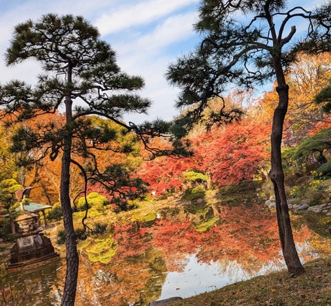 PXL_20241205_054620708~2