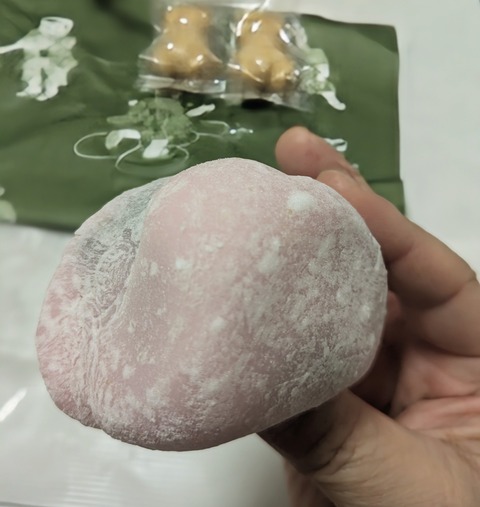 PXL_20250217_102036111~2