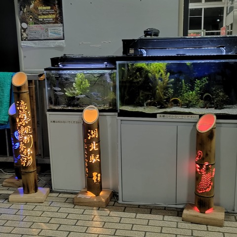IMG20221211174019