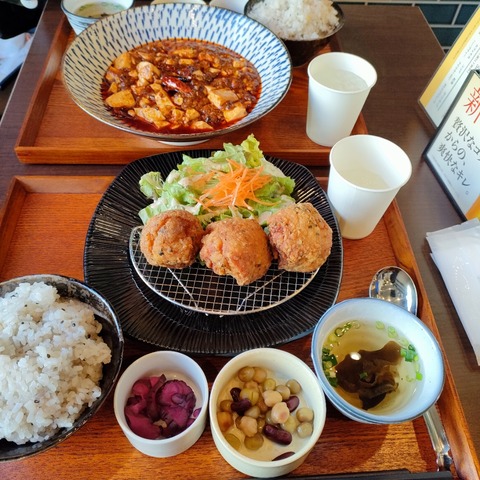 IMG20230303131538