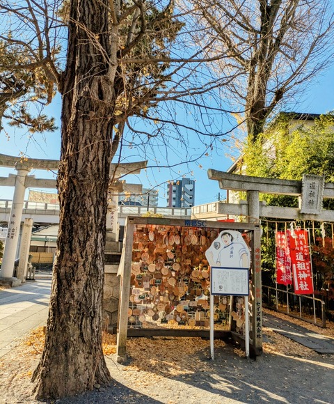 PXL_20241220_235311842~2