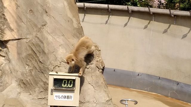 イメージ 6