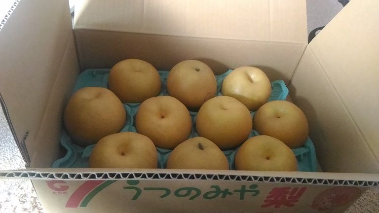 イメージ 7