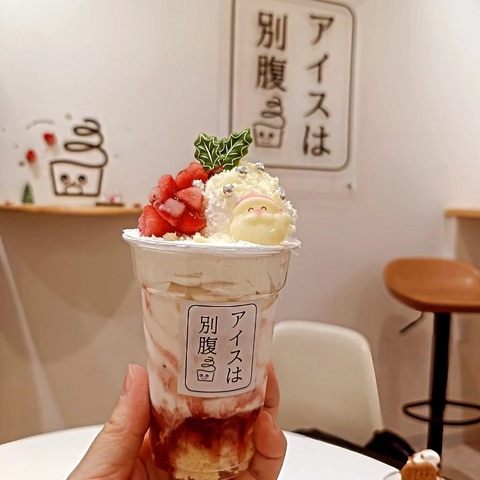 IMG_20251208_210447_271