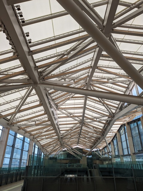 PXL_20240524_032107006