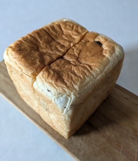 PXL_20240828_001639835~2