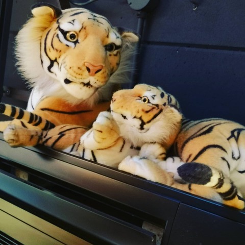 IMG_20201111_002603_555