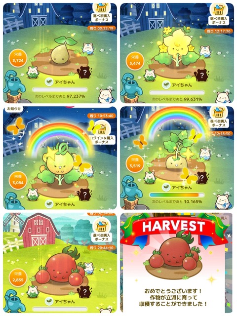 25-11-08-16-28-34-762_deco