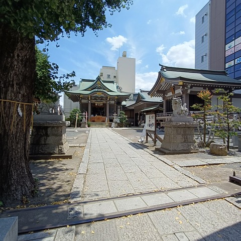 IMG20250808124304