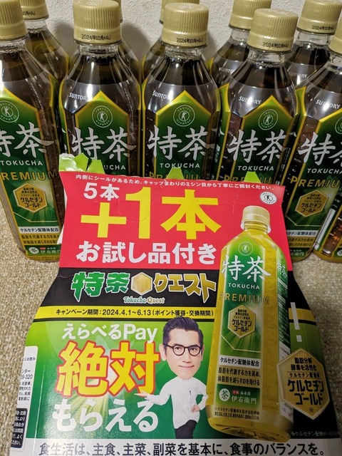 PXL_20240511_093805412