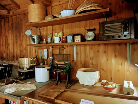 PXL_20241016_051813370~2