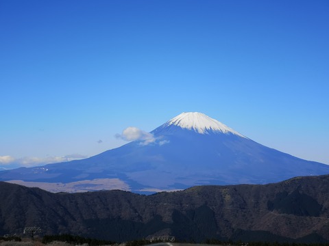 IMG_20211125_111158