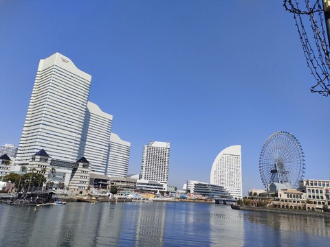 IMG20230308121824