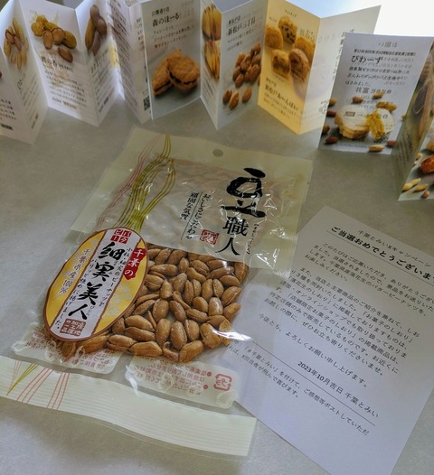 PXL_20231011_235954356~2