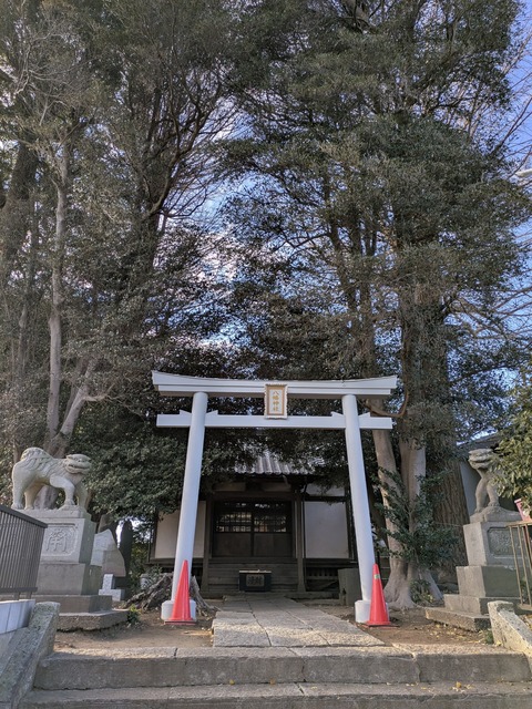 PXL_20250102_060717469