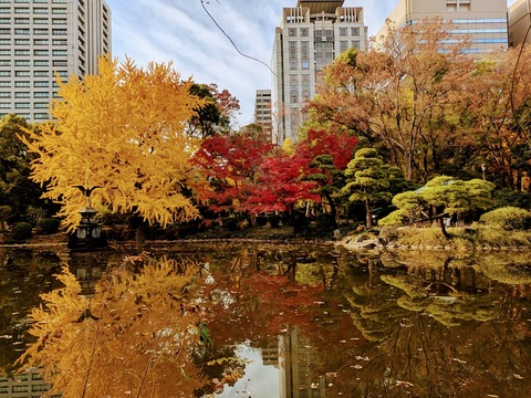 PXL_20241205_053459014~2