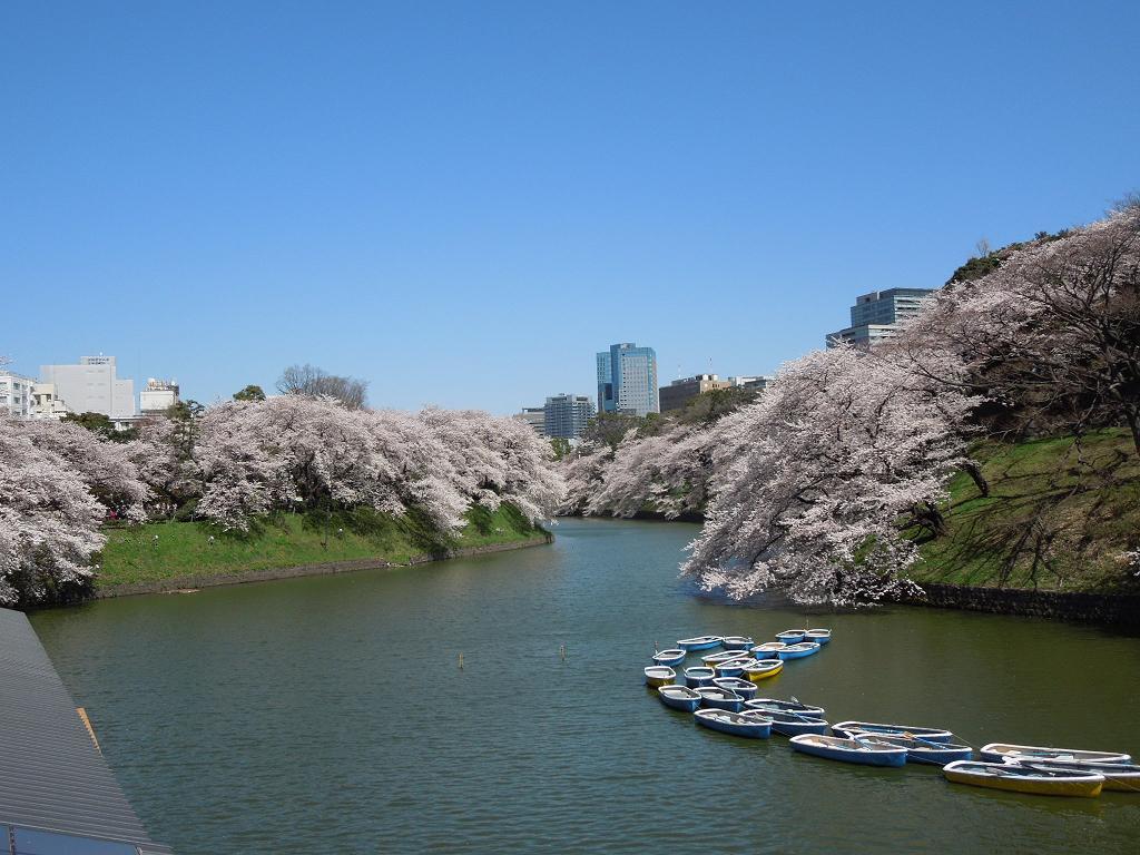 イメージ 6