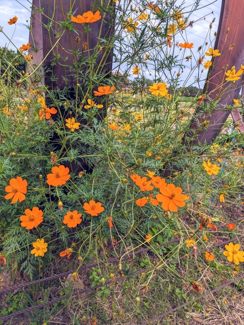 PXL_20230930_041907847